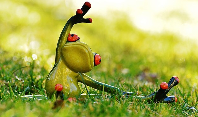 frog-1109792_640